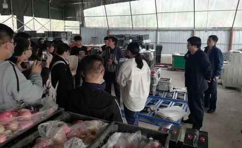 校地合作谋振兴 河北科技大学电商专业与李保国干部学院共促浆水苹果产业升级